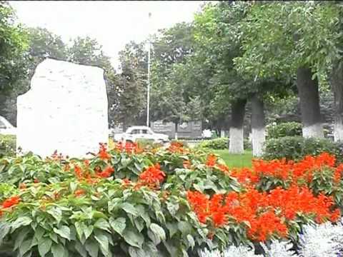 Видео: Ролик Моршанск