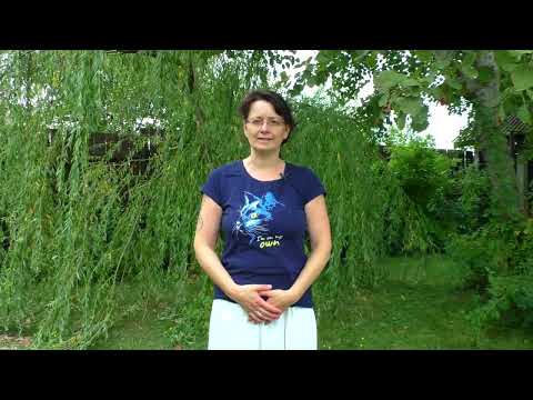 Видео: Область Даньтянь в Цигун. И работа с ним во время комплексов