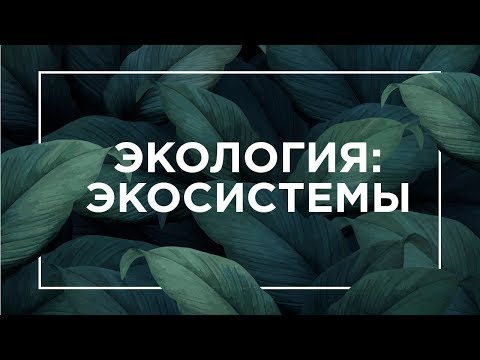 Видео: Экология: экосистемы | ЕГЭ Биология | Даниил Дарвин