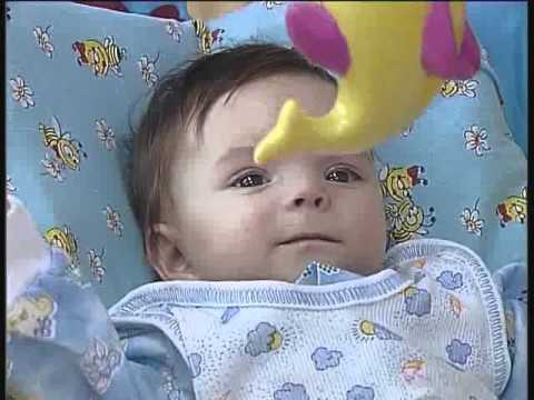 Видео: Сюжет "Ищу маму"