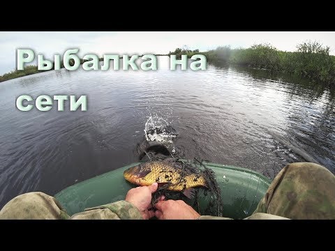 Видео: ПРОМЫСЛОВАЯ РЫБАЛКА НА СЕТИ. КАРАСИ ЗАБИЛИ СЕТИ/КРАЙНИЙ СЕВЕР.