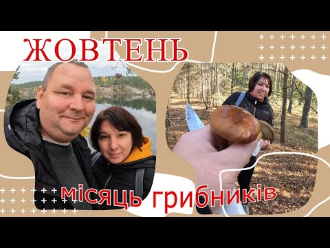 Видео: Жовтень — місяць грибників