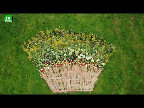 Видео: Видели корзину ? Нет ? А она есть :)