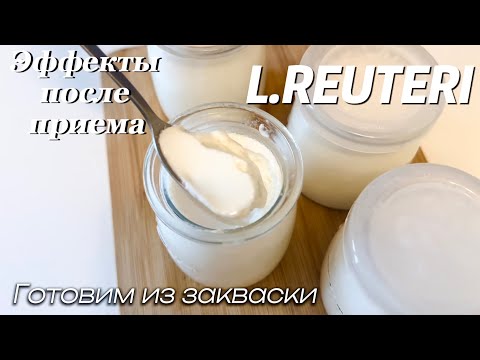 Видео: ❗️ЭФФЕКТЫ от йогурта с L.REUTERI , реутери, рецепт на ЗАКВАСКЕ. Часть 2