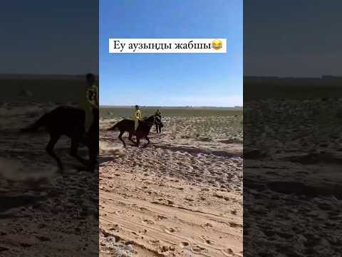 Видео: Еу Аузыңды жапшы🤣🤣🤣 #war #compilation #horse #horseriding #rek #кокбору #финиш #хочу #көкпар