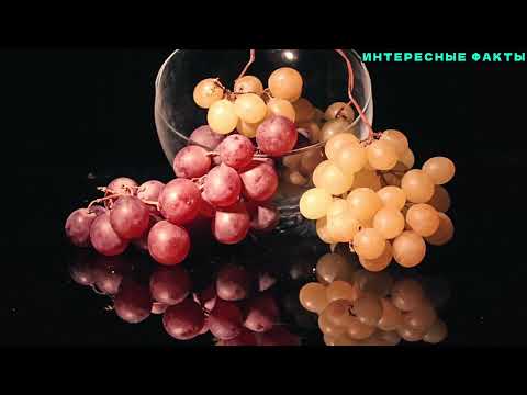Видео: ✔️ИНТЕРЕСНЫЕ ФАКТЫ О ВИНОГРАДЕ.