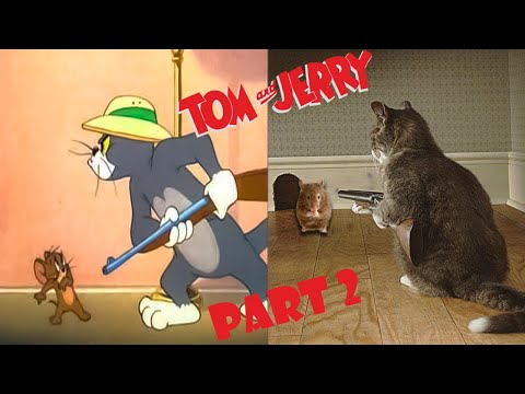 Видео: ТОМ🐱 и ДЖЕРРИ🐭 в реальной жизни 💥 Лучшие серии. ЧАСТЬ 2