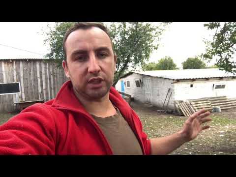 Видео: ПОРОДИ ЯКІ ІДЕАЛЬНО ПІДХОДЯТЬ НА СВИНОМАТОК