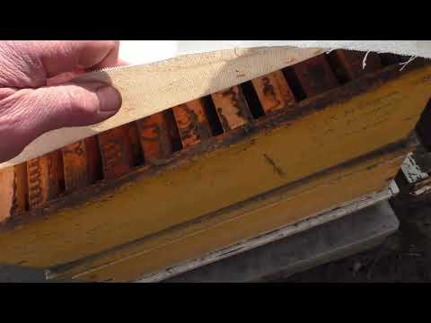 Видео: Это нужно сделать до очистительного облёта.Эксперимент.Зимовка через перегородку.(11.02.2022)