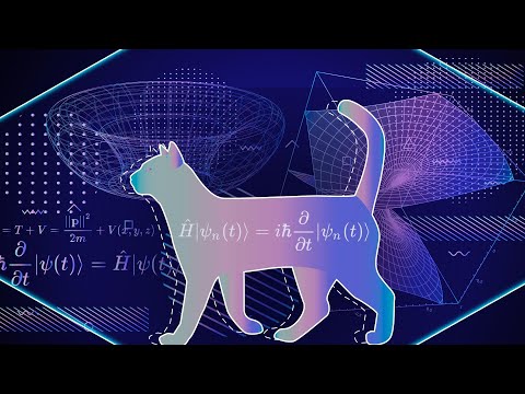 Видео: Квант механикийн үндэс: Шрёдингерийн тэгшитгэл