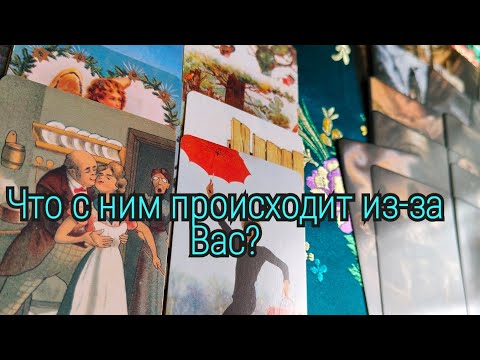 Видео: Вы думаете он страдает? А он уже всё решил😨😨😨Проглоти эту горькую правду.