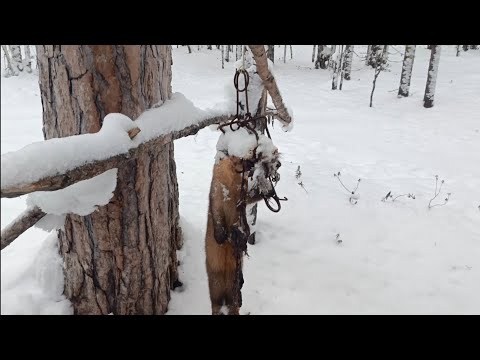 Видео: концовка серии 9 сезон 24/25