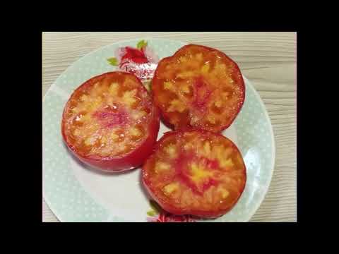 Видео: Каталог томатов  2025 года.  Часть 1.  Томаты селекции Софии Сааковой -  Новинки моей коллекции