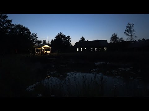 Видео: ХУТОР в ЛЕСУ на КРАЮ БОЛОТА. ДРУГ ПРИЕХАЛ, СКРАСИЛ ОДИНОЧЕСТВО. №211