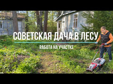 Видео: Работа на участке и знакомство с подписчиками. Советская дача в лесу Выпуск №2