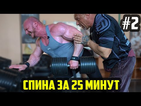 Видео: МИНУС СПИНА ЗА 25 МИНУТ | БЕЗ НАРЕЗКИ - ЖИВАЯ РАБОТА | ТРЕНИРОВКА СПИНЫ №2 (ДЕНЬ 11)