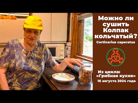 Видео: Можно ли сушить Колпак кольчатый - Cortinarius caperatus?