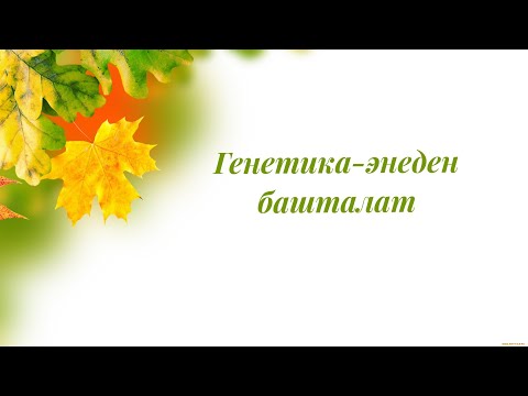 Видео: Генетика-энеден башталат.