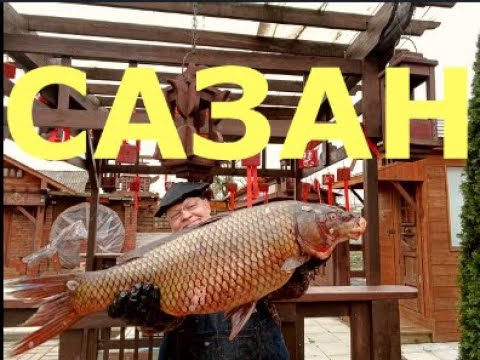 Видео: Секрет приготовления САЗАНА-ГИГАНТА в тандыре