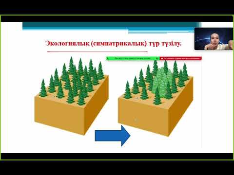 Видео: Түр түзілу.Эволюция бағыттары