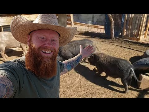 Видео: Как начать фермерское хозяйство практически с нуля