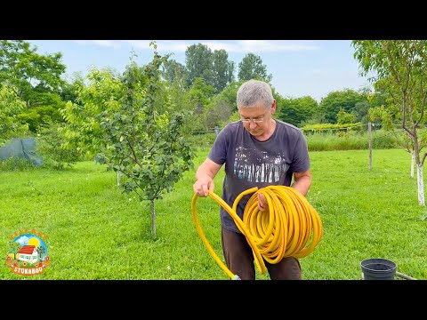 Видео: Деревенские коты теперь круче городских! Робот для котов, а для нас шланг и грабли!