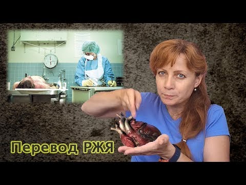 Видео: Вопросы судмедэксперту. Часть 1 (перевод РЖЯ)