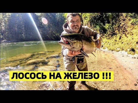 Видео: ЧАВЫЧА НА ЖЕЛЕЗО !!! СЕЗОН ЛОВЛИ ЛОСОСЯ В РАЗГАРЕ. РЫБАЛКА В США. РЕЦЕПТ.