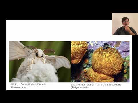 Видео: «ДНК как художественный медиум» Лекция Ипполита Маркелова