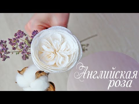 Видео: Английская роза или роза Дэвида Остина из гофрированной бумаги | Самый простой способ