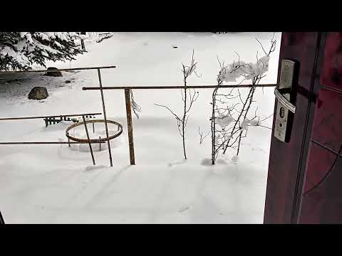 Видео: Зима в апреле