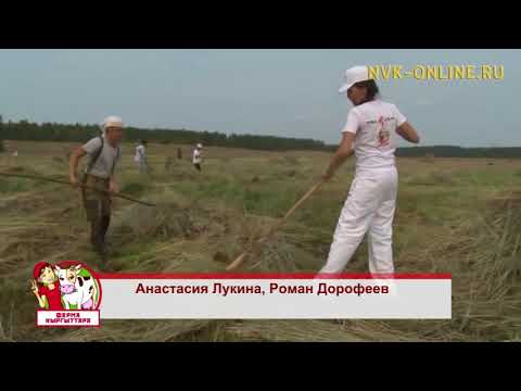 Видео: «Ферма кыргыттара» сайылыкка иккис күннэрэ