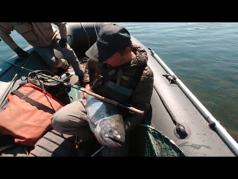 Видео: Новое удилище от Kola Salmon. SF Feather Switch 9класс.