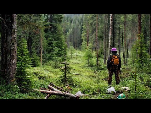 Видео: ДЕЛАЕМ ДЕНЬГИ НА ЧАГЕ. ДЕРЕВЕНСКИЙ ЗАРАБОТОК.