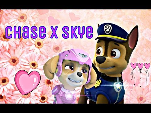 Видео: 💜Гонщик и Скай💜~(•Я люблю тебя•)/♡Chase x Skye♡~(•I ♡ u•)