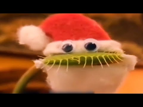 Видео: ЛУЧШИЕ СМЕШНЫЕ НОВОГОДНИЕ ВИДЕО ЗА ВСЁ ВРЕМЯ!