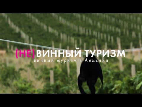 Видео: Винный туризм | Армения | Самокат (2019)
