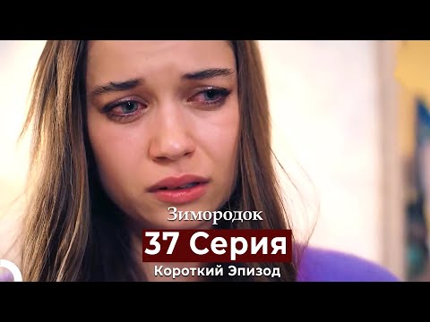 Видео: Зимородок 37 Cерия (Короткий Эпизод) (Русский дубляж)