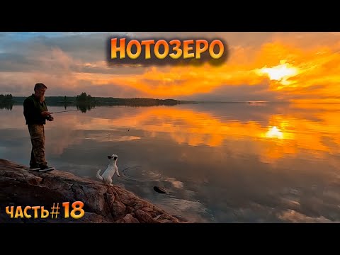 Видео: #18 Нотозеро | Ковдозеро 2023