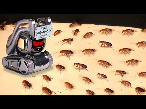 Видео: ЧТО ЕСЛИ РОБОТ ANKI VECTOR УВИДИТ 1000 ГОЛОДНЫХ ТАРАКАНОВ? ИСКУССТВЕННЫЙ ИНТЕЛЛЕКТ VS ТАРАКАНЫ