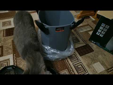 Видео: Внешний фильтр для аквариума BARBUS 105. Обзор.