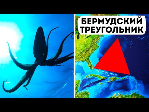 Видео: В Бермудском треугольнике могут скрываться гигантские кальмары!