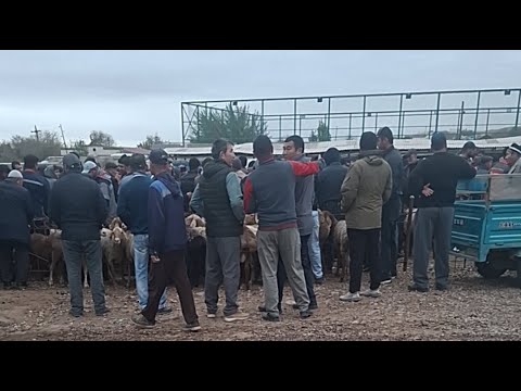 Видео: МОЛБОЗОРИ  МАСТЧОХ 1111 ШАНБЕ БОЗОРИ КУРУКСОЙ ХАТМАН ЛАЙКОРА ЗАНЕД ОБУНАШЕД ДУСТОН