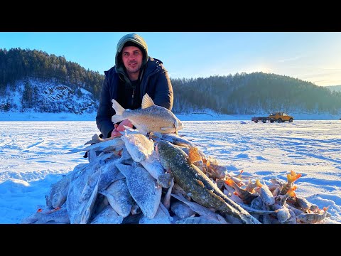 Видео: ТЫСЯЧНОЕ СТАДО СОБРАЛИ ПОД ЛУНКАМИ! НАЛОВИЛИ ДВА МЕШКА! КУДА НАМ СТОЛЬКО! рыбалка на ЧУПА ЧУПС