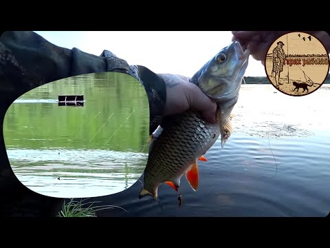 Видео: РАСКРЫВАЕМ ВСЕ СЕКРЕТЫ ЛОВЛИ НА КОРАБЛИК.