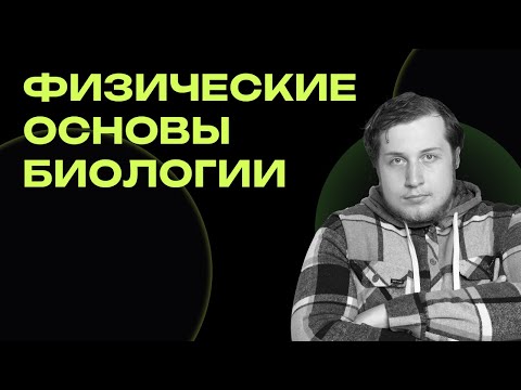 Видео: Физические основы биологии. Олимпиадная биология