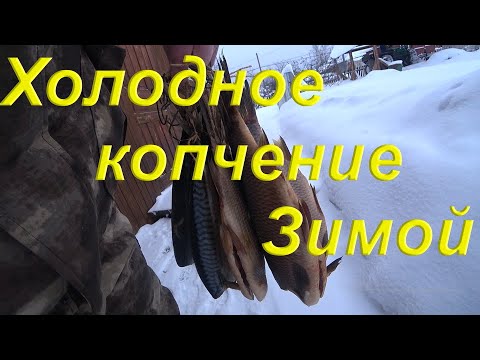 Видео: Холодное копчение Зимой на морозе. Рыбное Комбо Скумбрия, речной Язь. Простейший Рассол. Hobbi Smoke