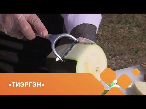 Видео: «Тиэргэн» биэриигэ: кабачогу астыыбыт (10.08.21)