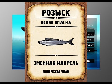 Видео: Мутанты рр3. Змеиная макрель рр3. Побережье Чили.