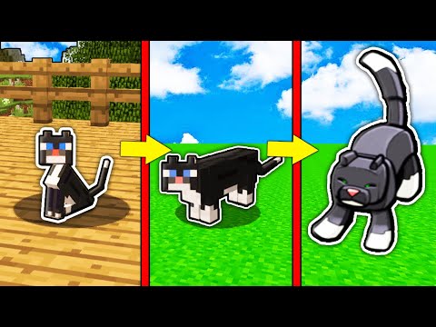 Видео: КАК МЕНЯЛСЯ КОТ ОЦЕЛОТ МОБ И ЕГО ЖИЗНЕННЫЙ ЦИКЛ В МАЙНКРАФТ ! ЭВОЛЮЦИЯ И ТРОЛЛИНГ